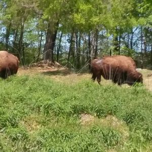 Meet your Posher, Jimmie